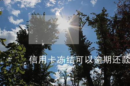 信用卡冻结可以逾期还款吗 信用卡冻结可以逾期还款吗