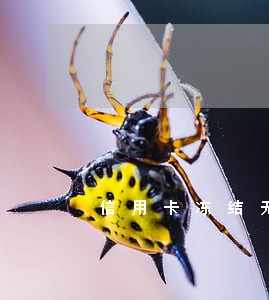 信用卡冻结无逾期无欠费