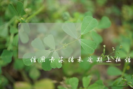 信用卡冻结未逾期上征信吗 信用卡冻结未逾期上征信吗