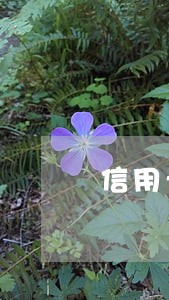 信用卡冻结算是逾期吗 信用卡冻结算是逾期吗