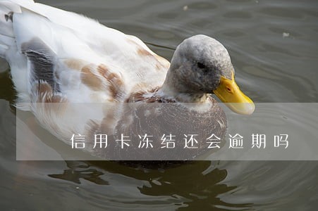 信用卡冻结还会逾期吗 信用卡冻结还会逾期吗