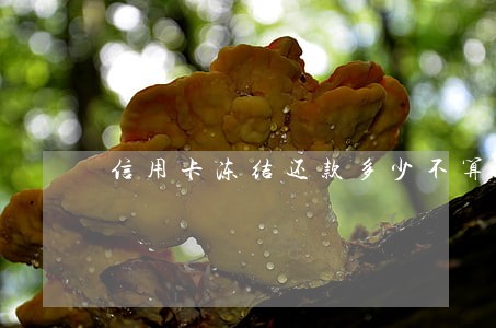 信用卡冻结还款多少不算逾期 信用卡冻结还款多少不算逾期
