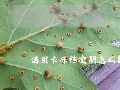 信用卡冻结逾期怎么解冻 信用卡冻结逾期怎么解冻