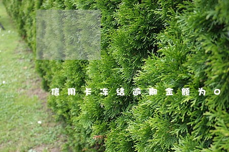 信用卡冻结逾期金额为0 信用卡冻结逾期金额为0