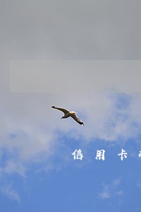 信用卡准备全部逾期