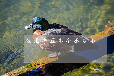 信用卡准备全面逾期 信用卡准备全面逾期