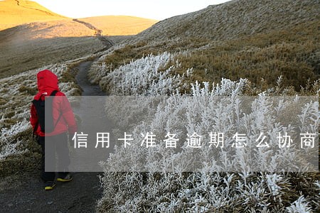 信用卡准备逾期怎么协商解决