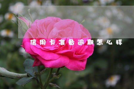 信用卡准备逾期怎么样