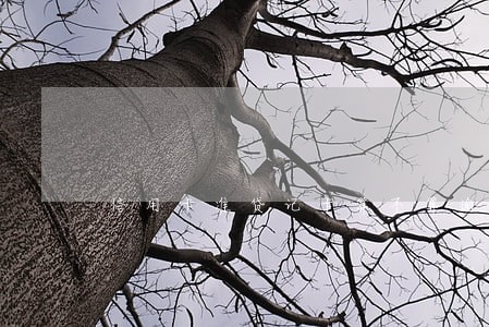 信用卡准贷记卡算不算逾期 信用卡准贷记卡算不算逾期