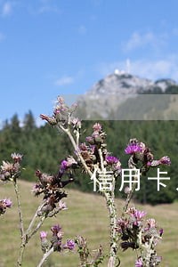 信用卡几个月逾期上黑名单