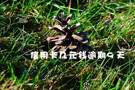 信用卡几元钱逾期9天 信用卡几元钱逾期9天