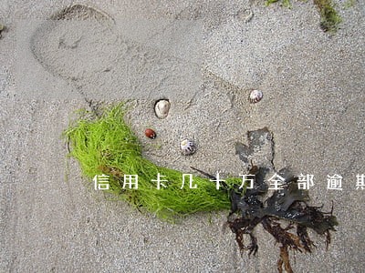 信用卡几十万全部逾期 信用卡几十万全部逾期