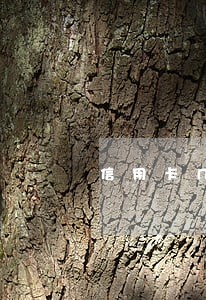 信用卡几十元逾期上征信吗 信用卡几十元逾期上征信吗