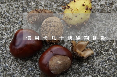 信用卡几十块逾期还款 信用卡几十块逾期还款
