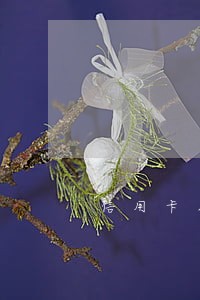 信用卡几十块钱的逾期怎么办 信用卡几十块钱的逾期怎么办