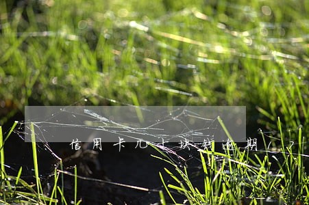 信用卡几十块钱逾期17次 信用卡几十块钱逾期17次