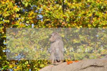 信用卡几十块钱逾期2个月 信用卡几十块钱逾期2个月