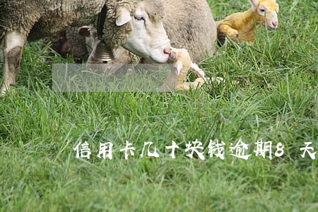 信用卡几十块钱逾期8天上征信吗 信用卡几十块钱逾期8天上征信吗