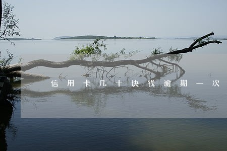 信用卡几十块钱逾期一次 信用卡几十块钱逾期一次