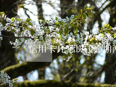 信用卡几十块钱逾期两三天 信用卡几十块钱逾期两三天