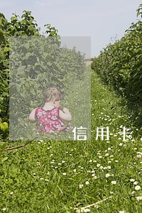 信用卡几千元逾期一年了 信用卡几千元逾期一年了