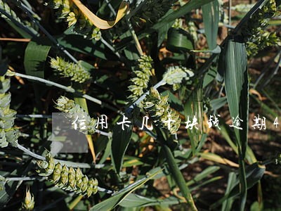 信用卡几千块钱逾期4年 信用卡几千块钱逾期4年