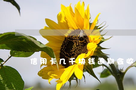 信用卡几千块钱逾期会收传票吗 信用卡几千块钱逾期会收传票吗
