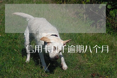 信用卡几千逾期八个月 信用卡几千逾期八个月