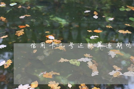 信用卡几号还款算逾期吗