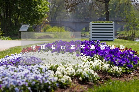 信用卡几天不换算逾期 信用卡几天不换算逾期