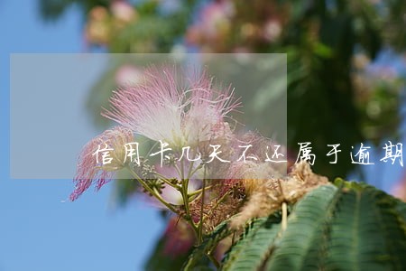 信用卡几天不还属于逾期 信用卡几天不还属于逾期