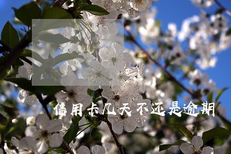 信用卡几天不还是逾期