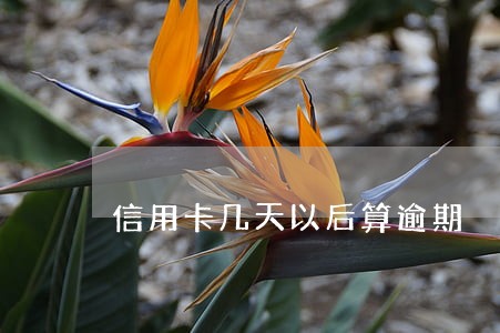 信用卡几天以后算逾期 信用卡几天以后算逾期