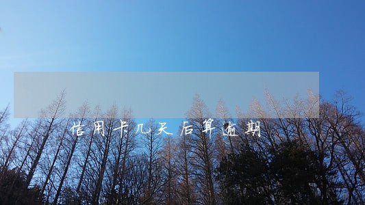 信用卡几天后算逾期 信用卡几天后算逾期