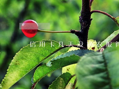 信用卡几天没换衣服算逾期 信用卡几天没换衣服算逾期