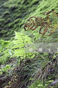 信用卡几天没还款算逾期 信用卡几天没还款算逾期