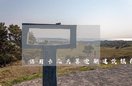 信用卡几天算逾期建设银行