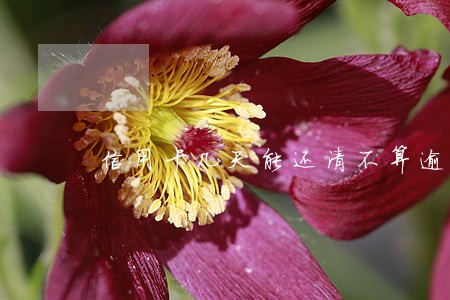 信用卡几天能还清不算逾期 信用卡几天能还清不算逾期