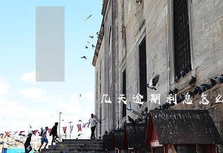 信用卡几天逾期利息怎么算 信用卡几天逾期利息怎么算