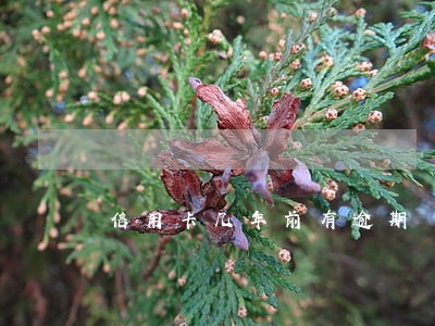信用卡几年前有逾期 信用卡几年前有逾期