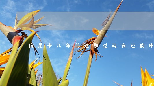 信用卡几年前逾期过现在还能申请吗 信用卡几年前逾期过现在还能申请吗