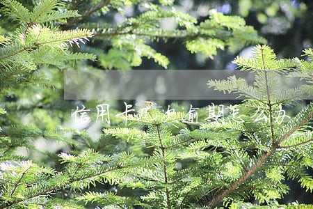 信用卡几次逾期怎么办