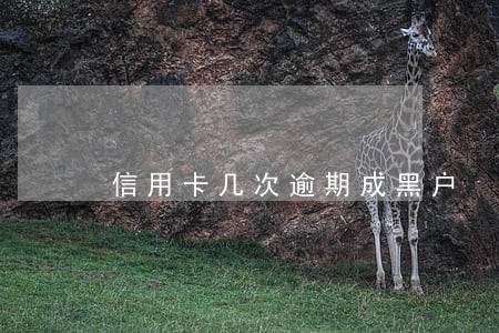 信用卡几次逾期成黑户 信用卡几次逾期成黑户