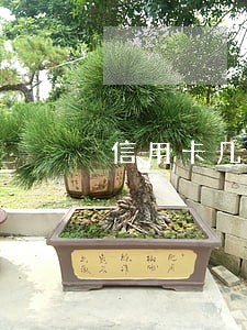 信用卡几次逾期算是黑户 信用卡几次逾期算是黑户