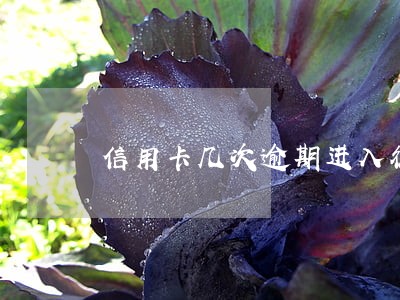 信用卡几次逾期进入征信 信用卡几次逾期进入征信