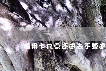 信用卡几点还进去不算逾期