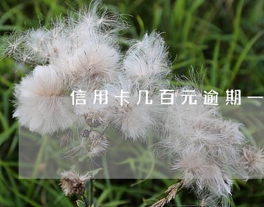 信用卡几百元逾期一个多月 信用卡几百元逾期一个多月