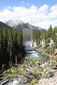 信用卡几百元逾期征信怎么办