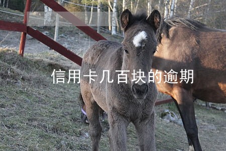 信用卡几百块的逾期 信用卡几百块的逾期