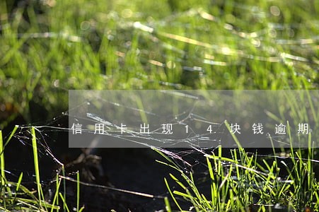 信用卡出现14块钱逾期 信用卡出现14块钱逾期
